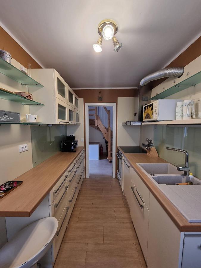 Apartment And Rooms Hisa Sonca コバリード エクステリア 写真